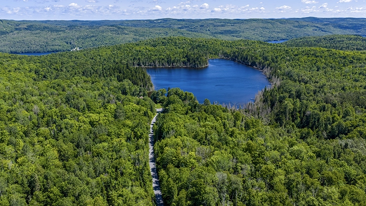 Photo aérienne d’un grand domaine en vente dans le Kamouraska, vue du ciel