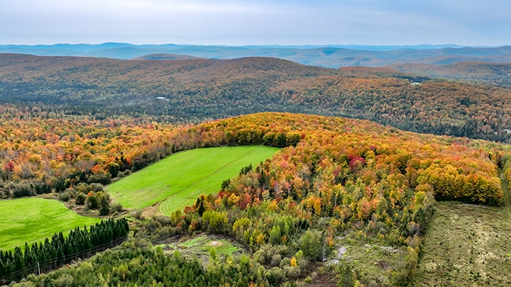 Photo de paysage par drone dans le Kamouraska